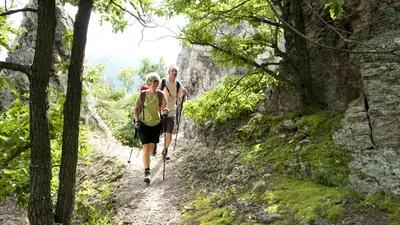 Wandern am Welterbesteig Wachau