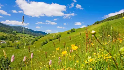 Die Landschaft im Murtal