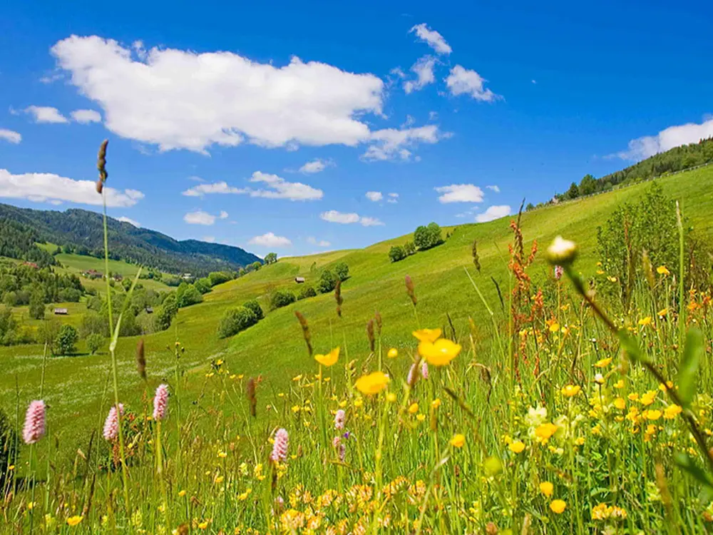 Die Landschaft im Murtal