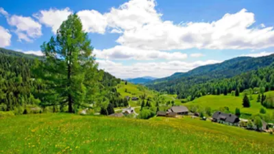 Blick auf die Natur im Murtal