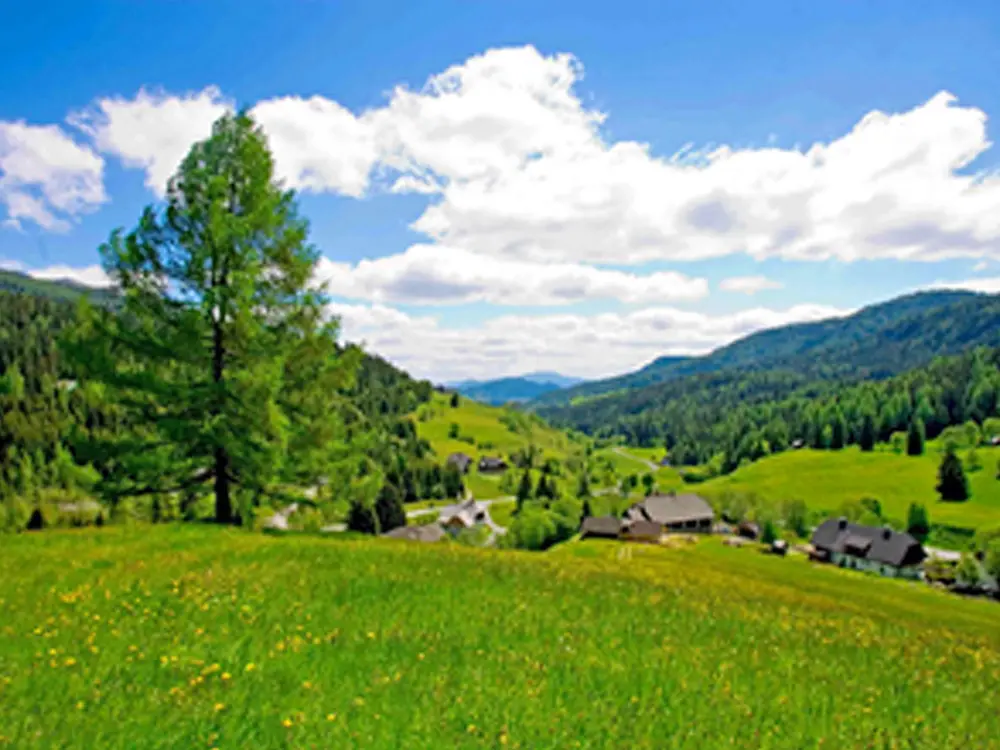 Blick auf die Natur im Murtal