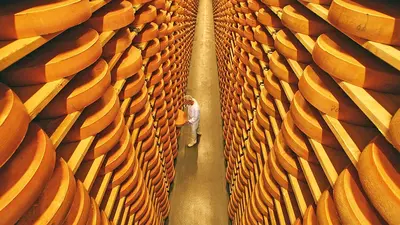 Käsekeller in der Käsestraße Bregenzerwald