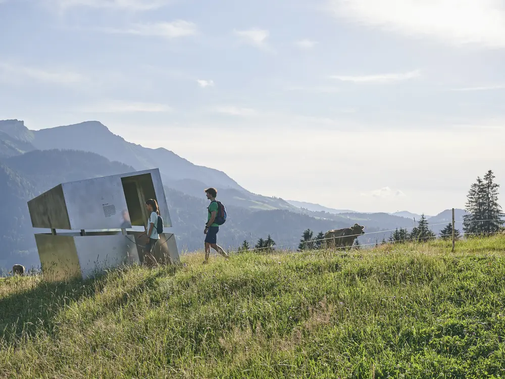 Georunde Rindberg in Sibratsgfäll