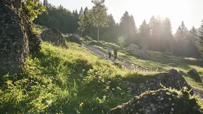 Naturpark Nagelfluhkette