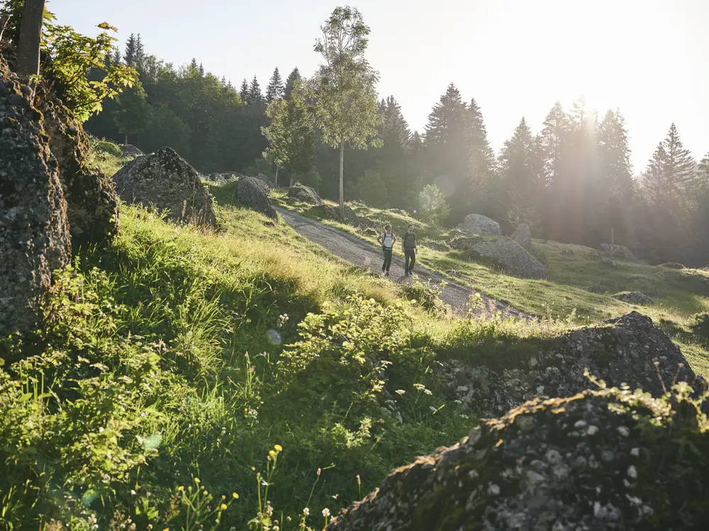 Wandern im Naturpark Nagelfluhkette