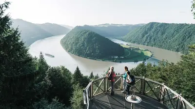 Aussicht auf die Schlögener Schlinge