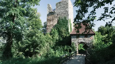 Burgruine Haichenbach