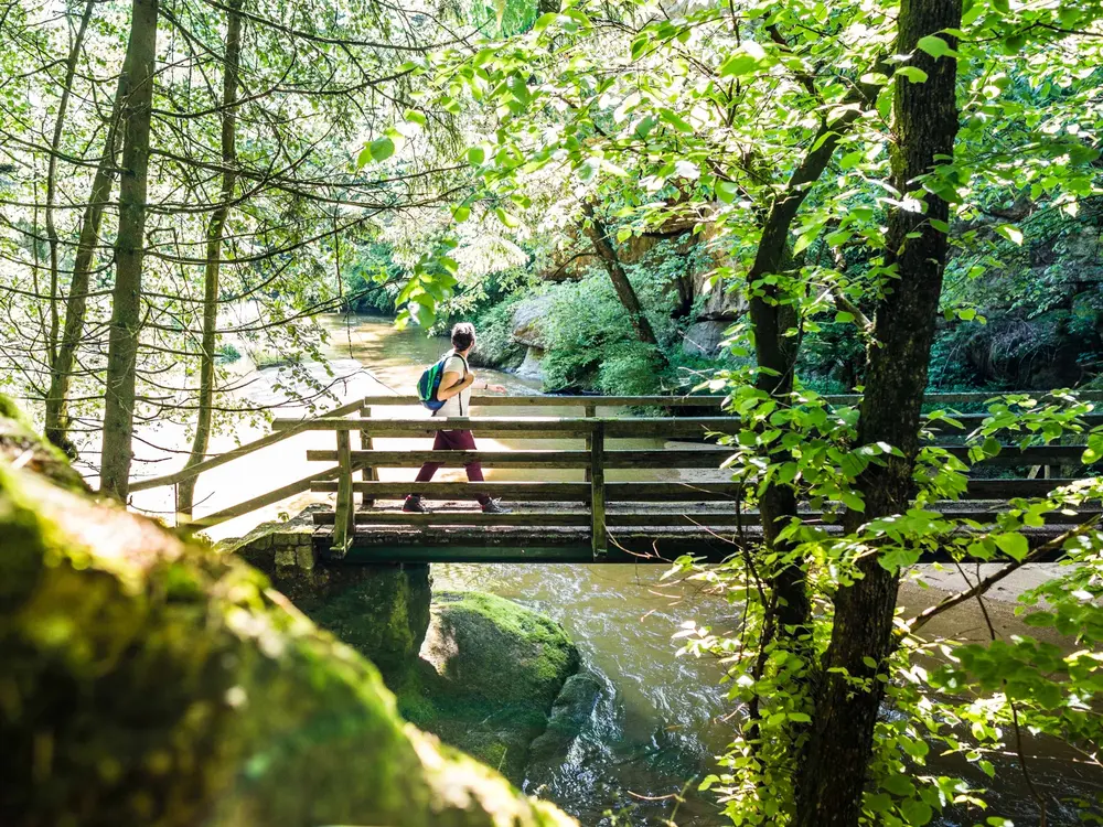 Unterwegs auf dem Donausteig