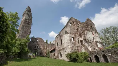 Burgruine Schaunberg