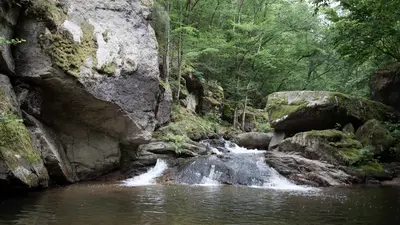 Sommer im Pesenbachtal