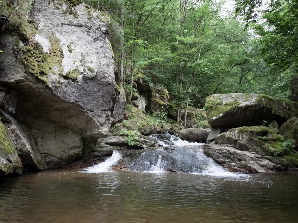 Sommer im Pesenbachtal