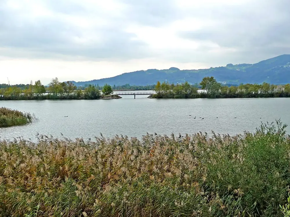 Naturschutzgebiet Rheindelta /