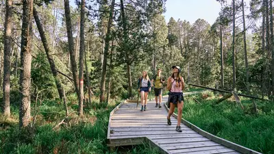 Hochmoor Bayrische Au
