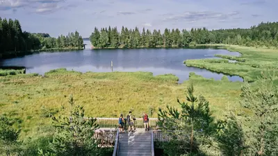 Hochmoor Bayrische Au