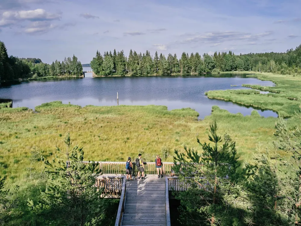 Aussichtsplattform im Hochmoor Bayrische Au