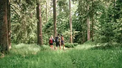 Wanderer im Böhmerwald