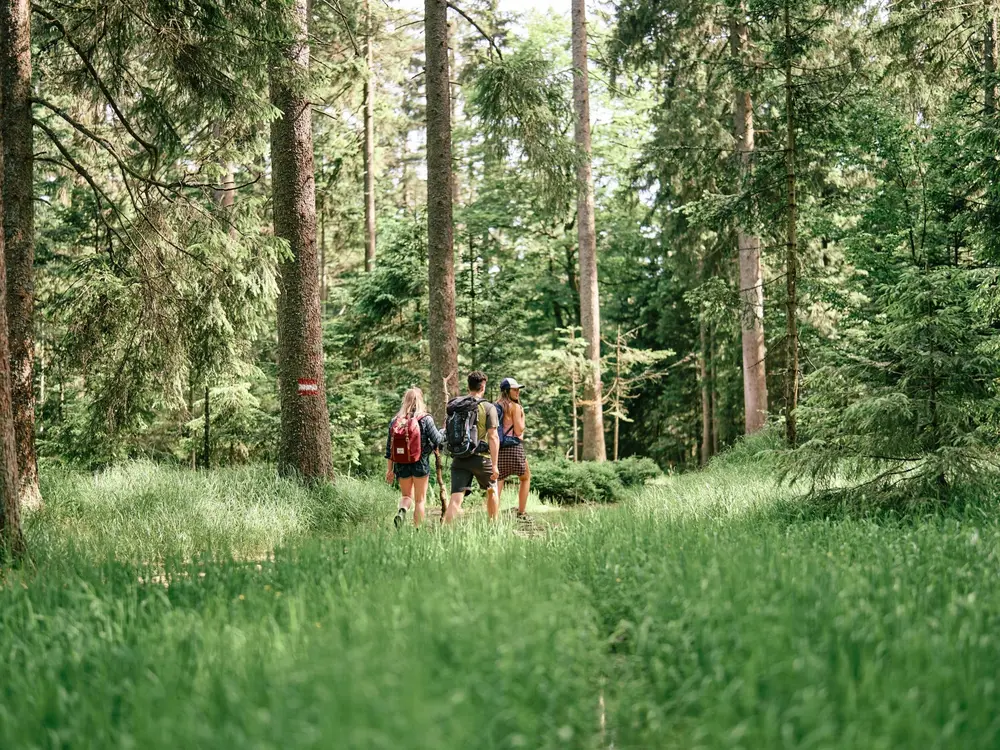 Die Region Böhmerwald in Oberösterreich bieten rund 600 km Wanderwege