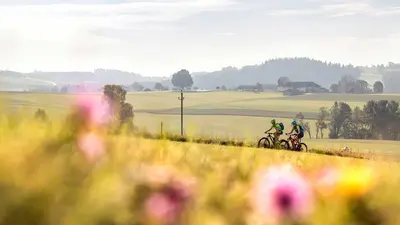 Mountainbiker im Mühlviertel