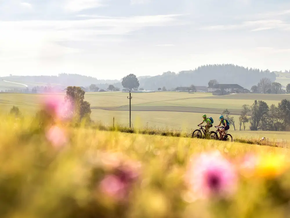 Mountainbiker im Mühlviertel