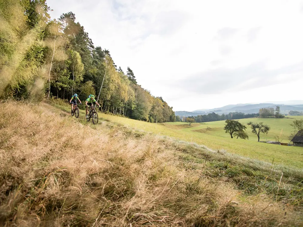 Biker fahren durch das herbstliche Mühlviertel