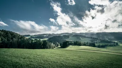Hügellandschaft im Mühlviertel