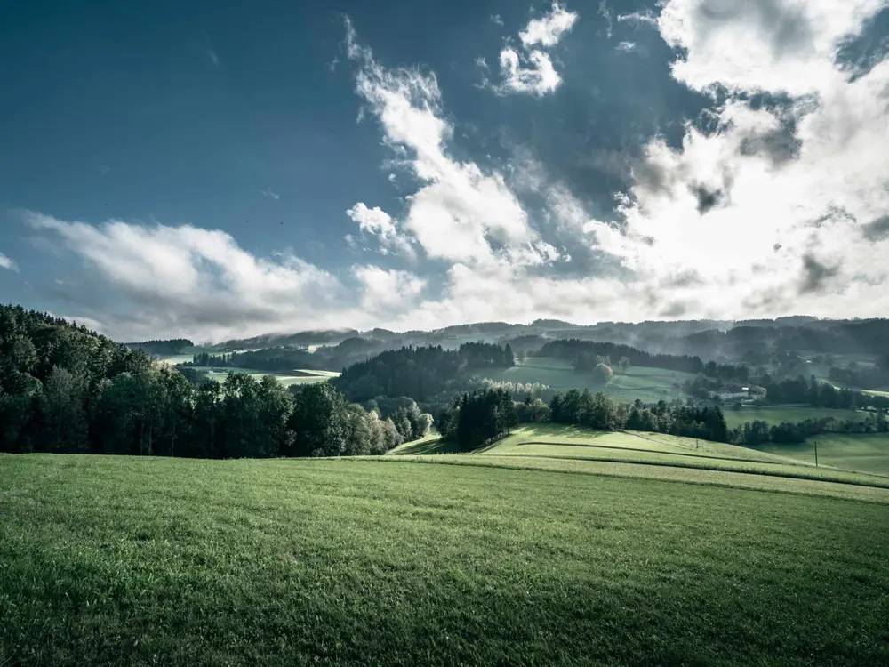 Hügellandschaft im Mühlviertel
