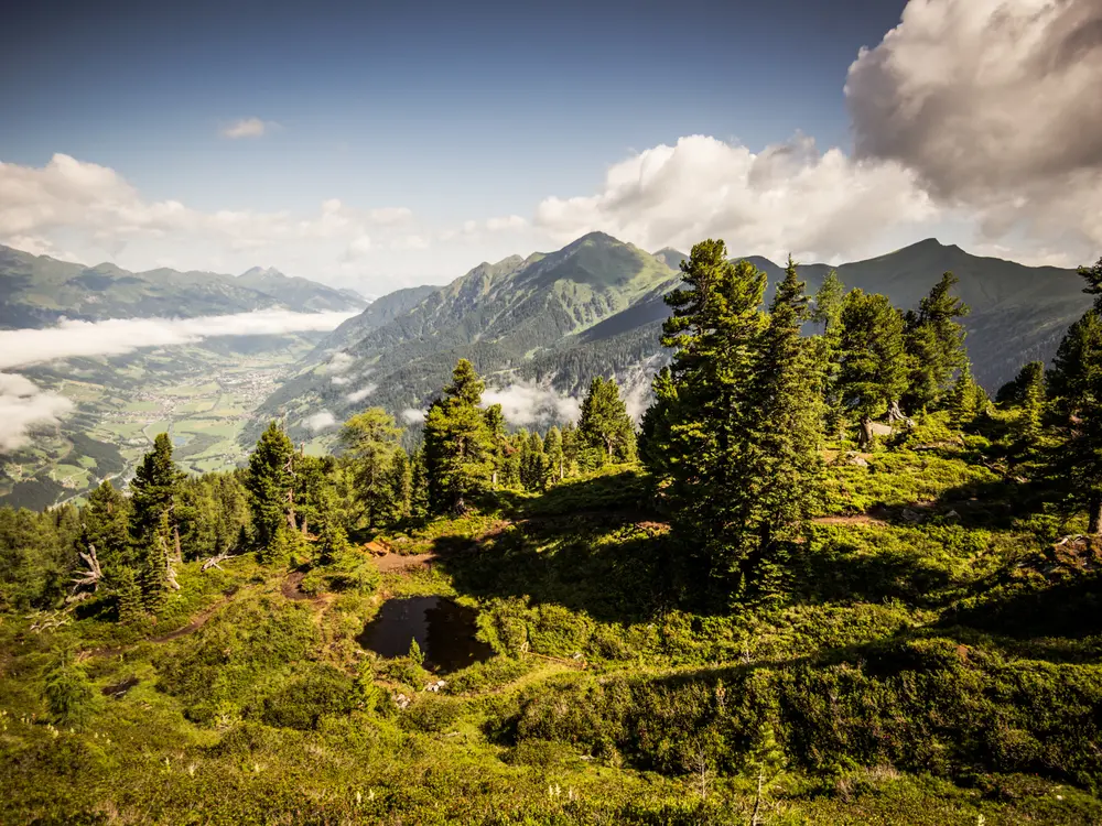 Unterwegs auf dem Zirbenweg