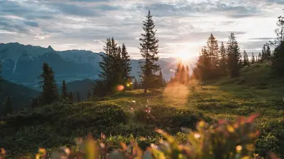 Landschaftliche Schönheit am Hochkönig