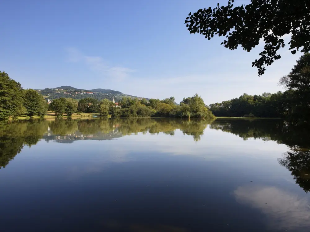 Gmoos Teich mit Blick auf Hartberger Ringkogel