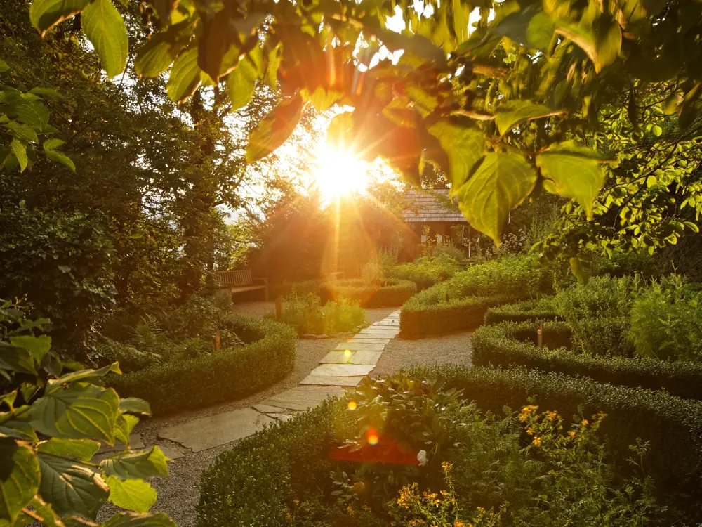 Kräutergarten am Weizberg in Abendstimmung in der Oststeiermark