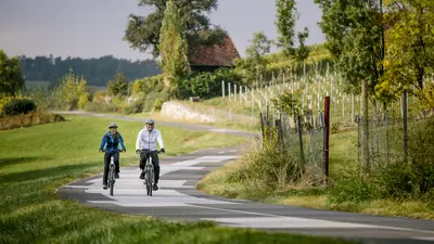 Radfahren bei St. Ruprecht an der Raab auf der Weinland Steiermark Radtour