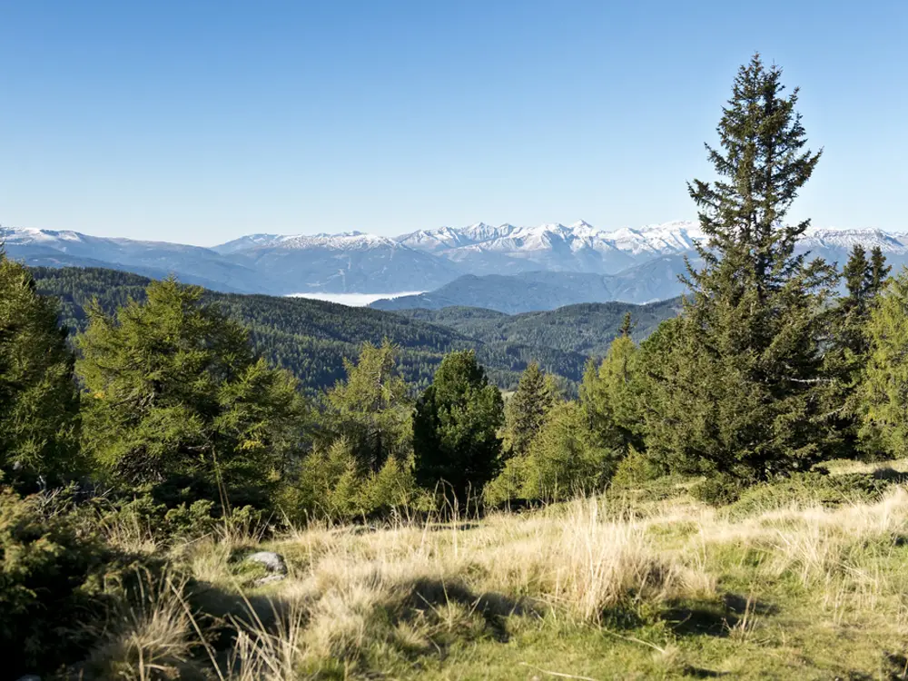 Panorama im Prebergebiet