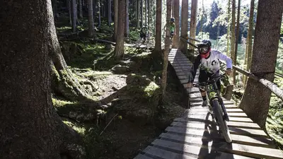 Mountainbiker auf einem Waldtrail in Saalfelden-Leogang