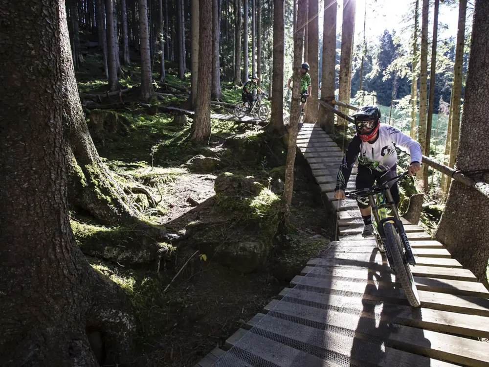 Mountainbiker auf einem Waldtrail in Saalfelden-Leogang