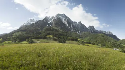 Blick auf eine Almwiese vor den Leoganger Steinbergen