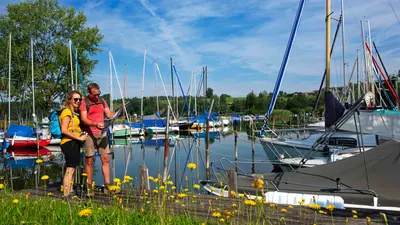 Wandern am Wallersee im Salzburger Seenland