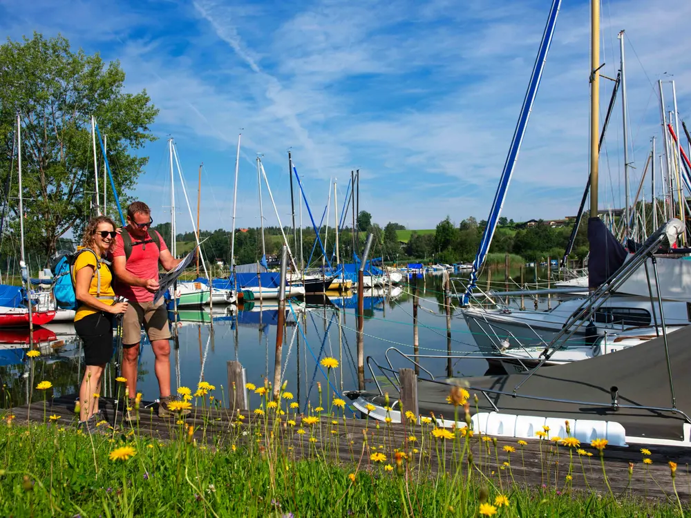 Wandern am Wallersee im Salzburger Seenland