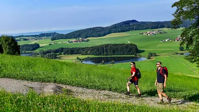 Wandern auf dem Buchberg im Salzburger Seenland