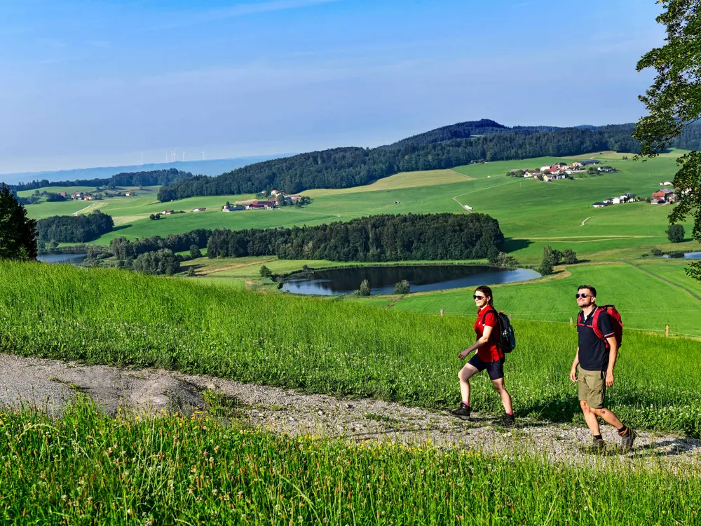Wandern auf dem Buchberg im Salzburger Seenland