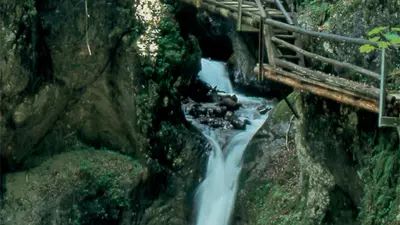 Dr. Vogelgesang-Klamm