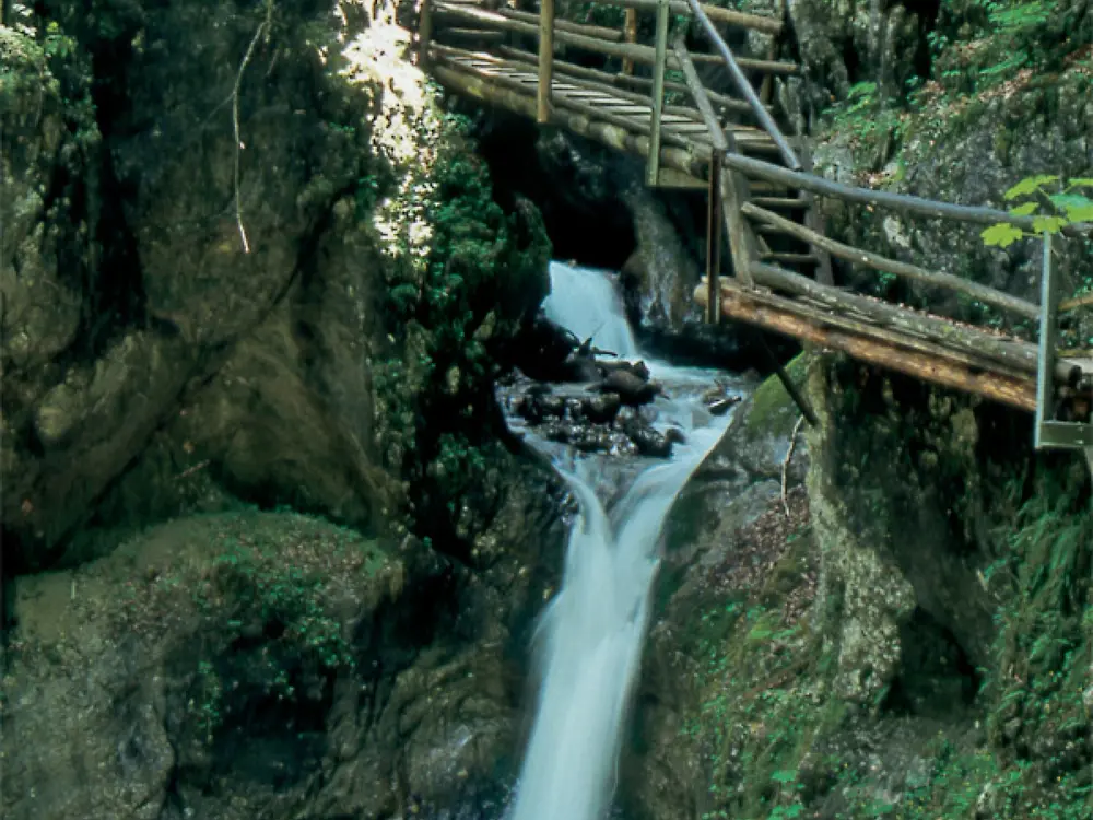 Dr. Vogelgesang-Klamm