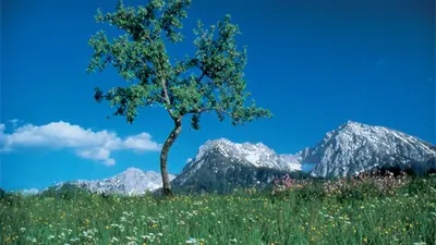 Großer und kleiner Pyhrgas