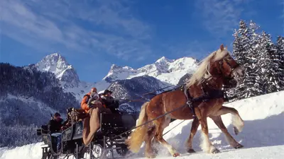 Pferdeschlittenfahrt