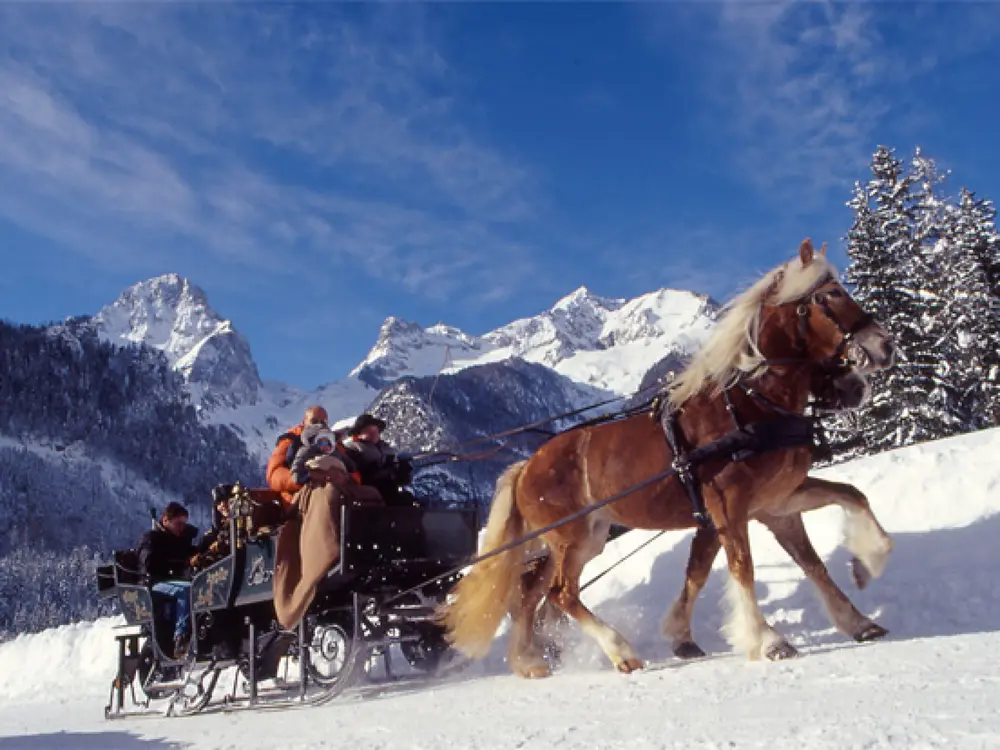 Pferdeschlittenfahrt