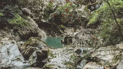 Stilles Wasser der Liechtensteinklamm im Salzburger Land
