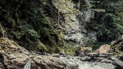 Flusslauf bei St. Veit im Salzburger Land