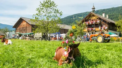 Almabtrieb in der Salzburger Sportwelt