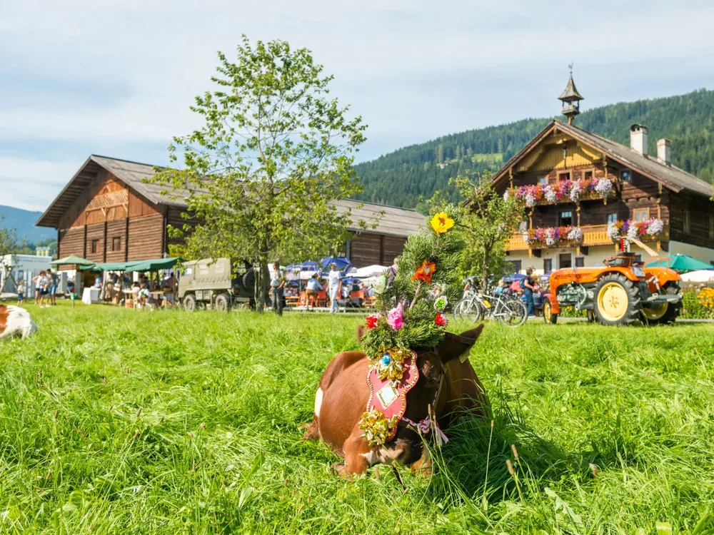 Almabtrieb in der Salzburger Sportwelt