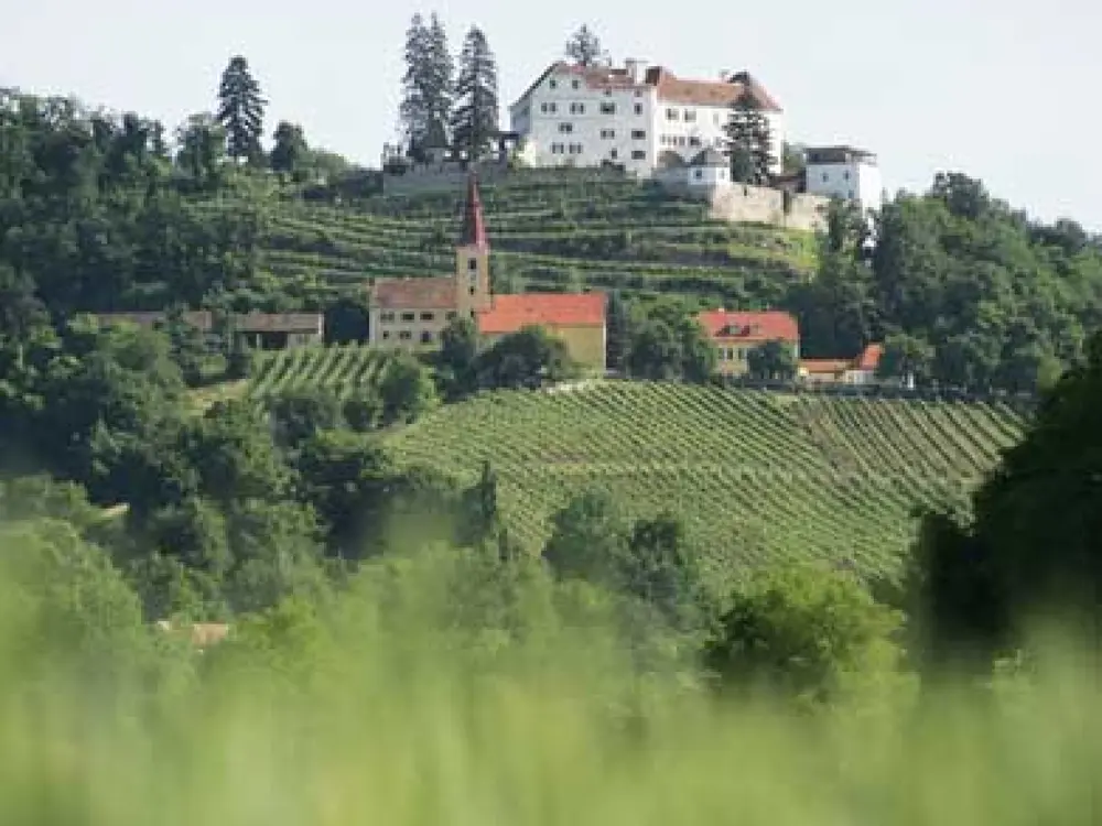 Blick auf Schloss Kapfenstein