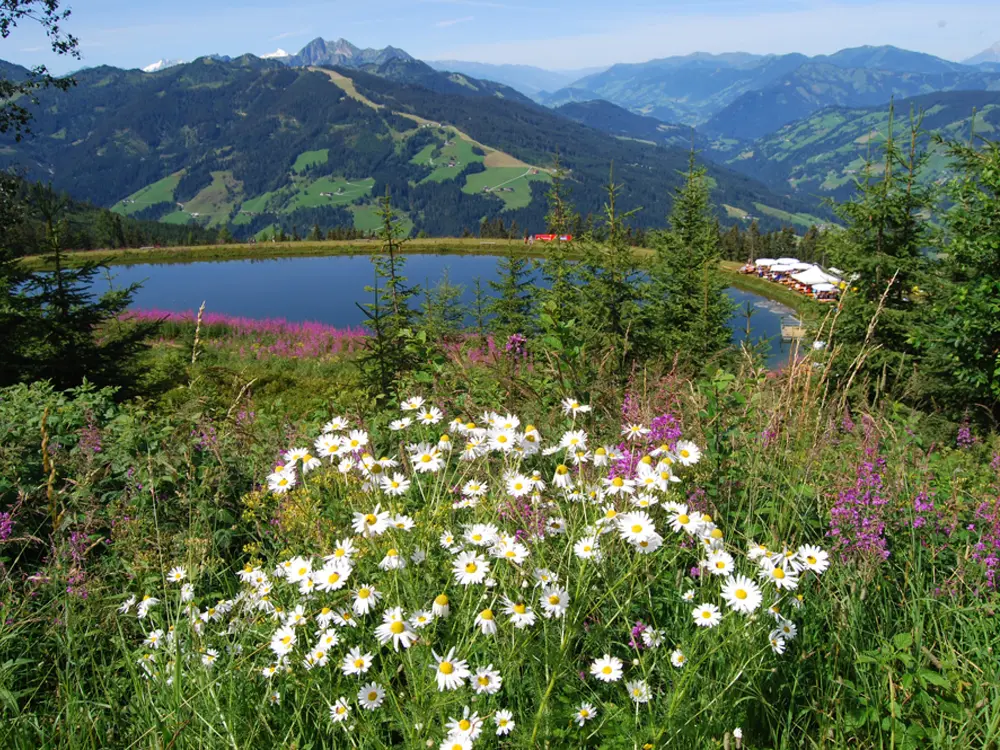 Gebirgssee in der Salzburger Sportwelt